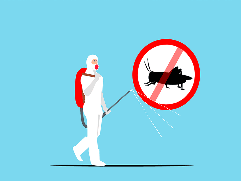 At Edinox, we're committed to providing effective and environmentally responsible fumigation services. We provide fumigation services for homes, hospitals, schools and Corporate offices.